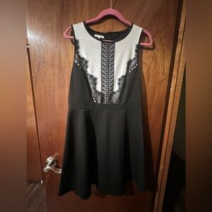 Black and White Beauty